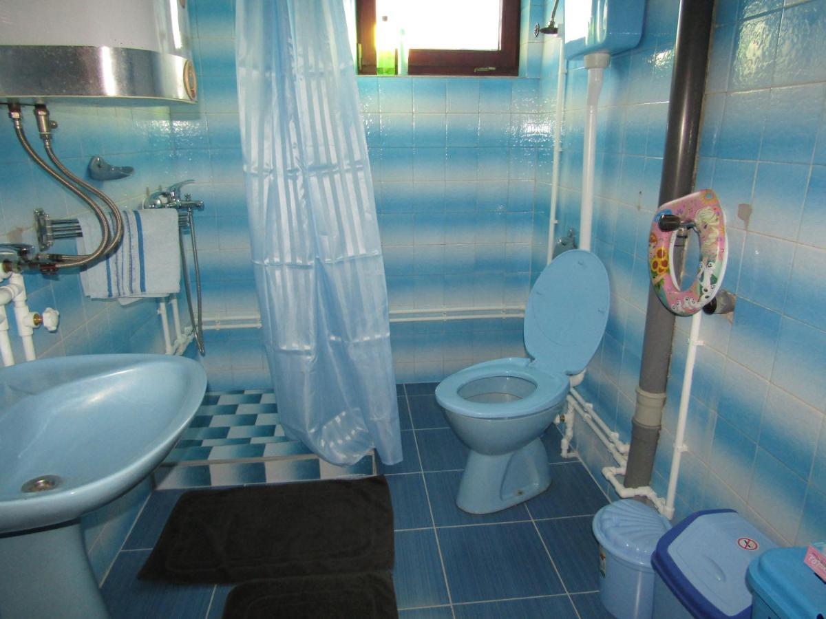Apartman Milena Kladovo Buitenkant foto