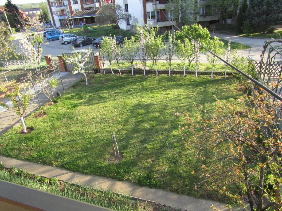 Apartman Milena Kladovo Buitenkant foto